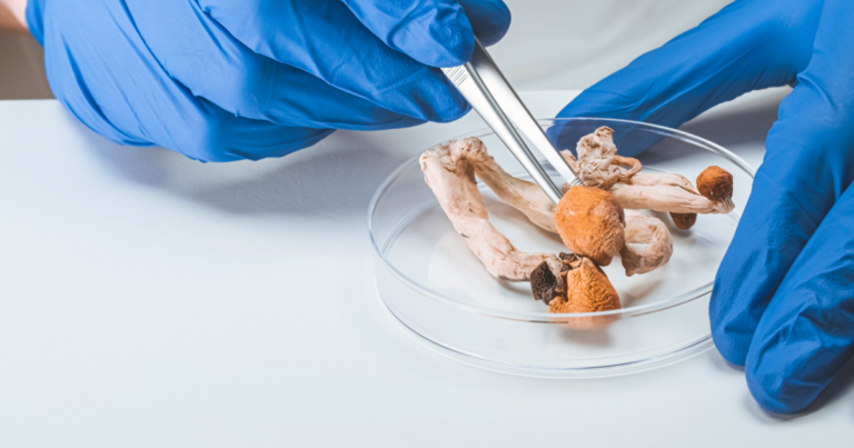 dosages recommandés