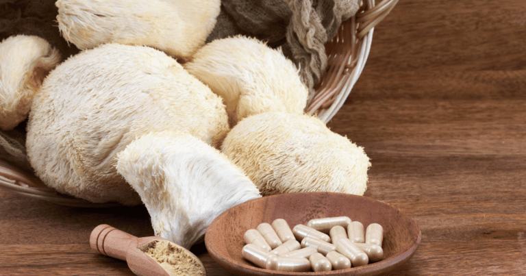 Comment consommer les champignons médicinaux