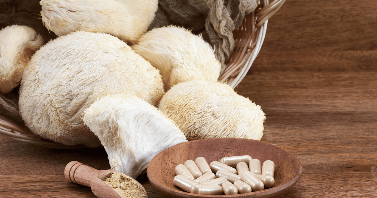 Comment consommer les champignons médicinaux