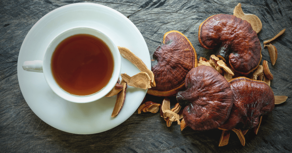 champignons reishi utilisation médicinale