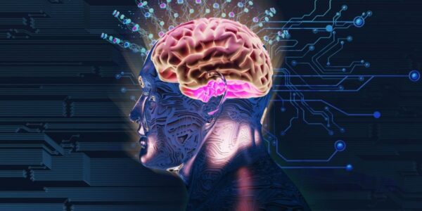 quels sont les effets de la psilocybine sur le cerveau