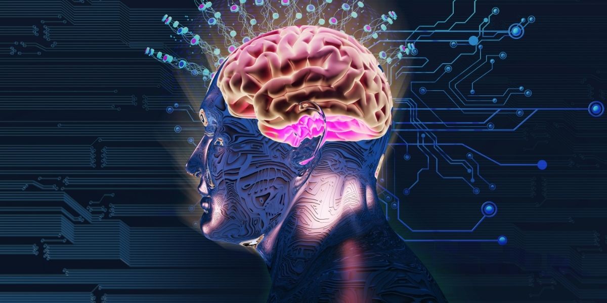 quels sont les effets de la psilocybine sur le cerveau