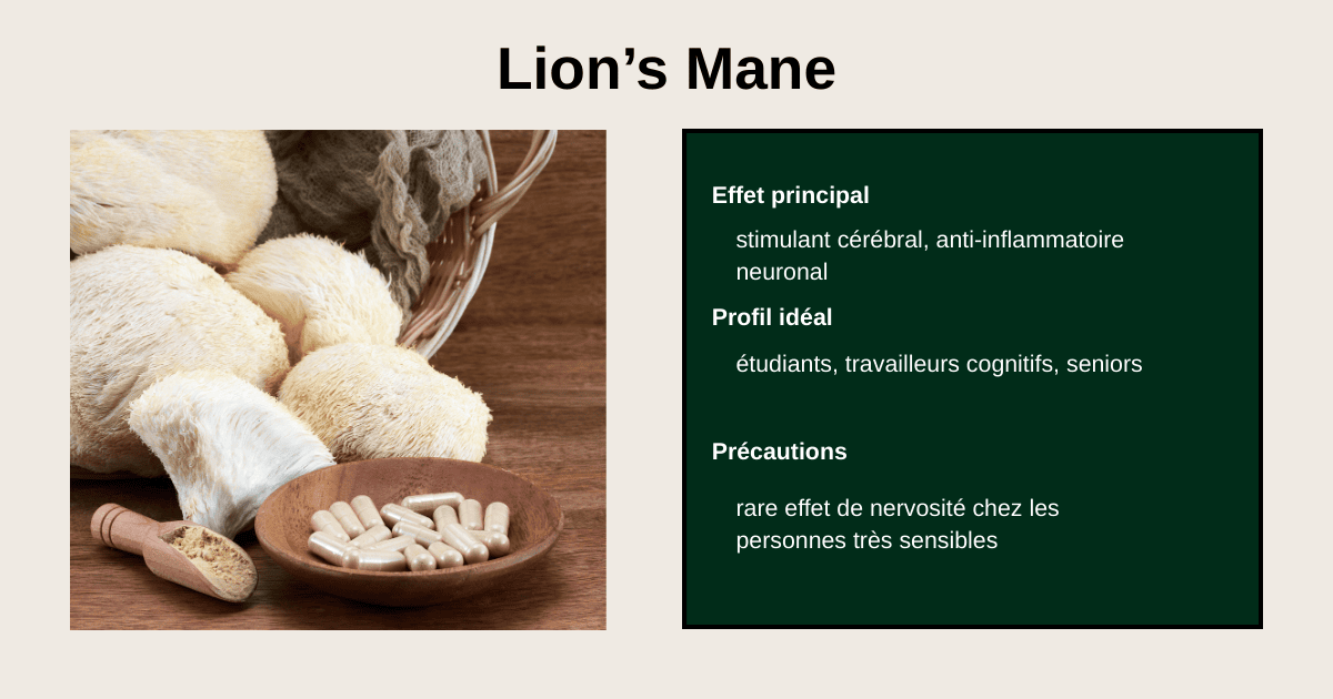 bénéfices du Lion’s Mane