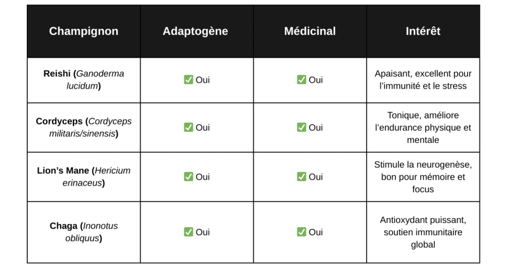 Tableau des effets thérapeutiques des principaux champignons adaptogènes