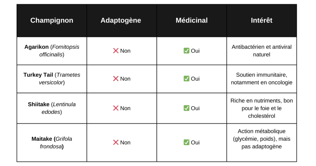 ableau des différences entre champignons médicinaux et champignons adaptogènes