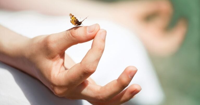 Pratique méditative et pleine conscience pour accompagner le microdosage de psilocybine