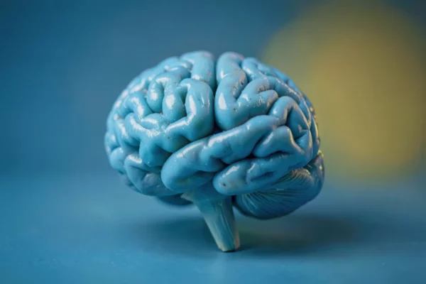 Psilocybine : effets immédiats sur le cerveau (mécanismes et timeline) — Psilocybine : effets immédiats sur le cerveau (