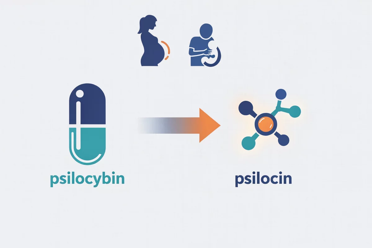 grossesse et allaitement — Psilocybine : définition et mécanismes d’action