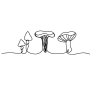 psilocybine